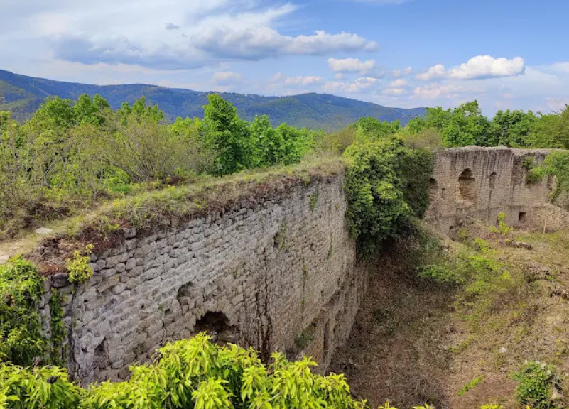 Château de Pflixbourg, France
